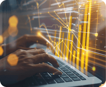 Insights & Reporting